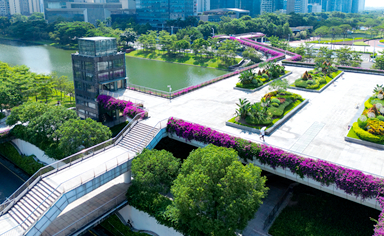 佛山物業(yè)城市項目時花采購及配套服務(wù)